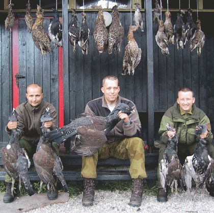 Blackbirds